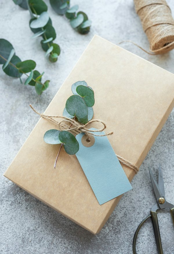 Boxe femme : les types à découvrir pour vous épanouir